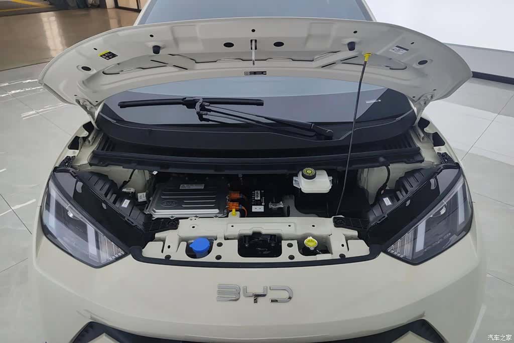 BYD Seagull, 2024 10