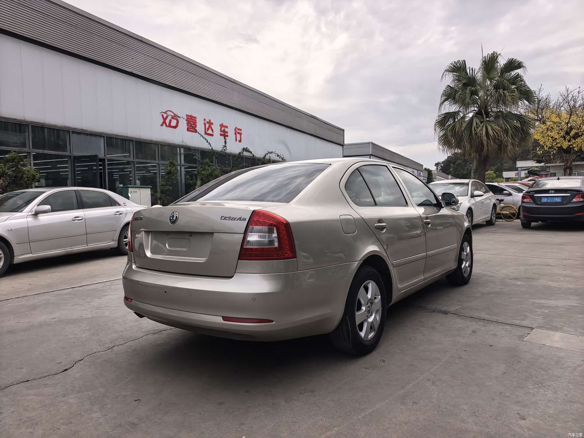 Skoda Octavia, 2012 все фото