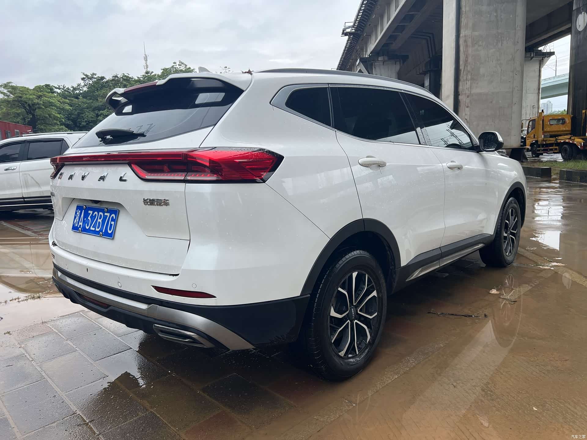 Haval H6, 2022 все фото