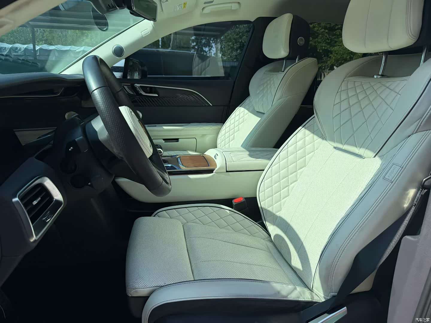 Hongqi E-HS9, 2021 4