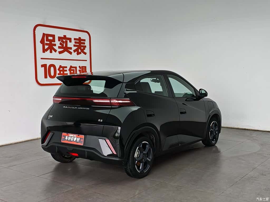 BYD Seagull, 2024 2