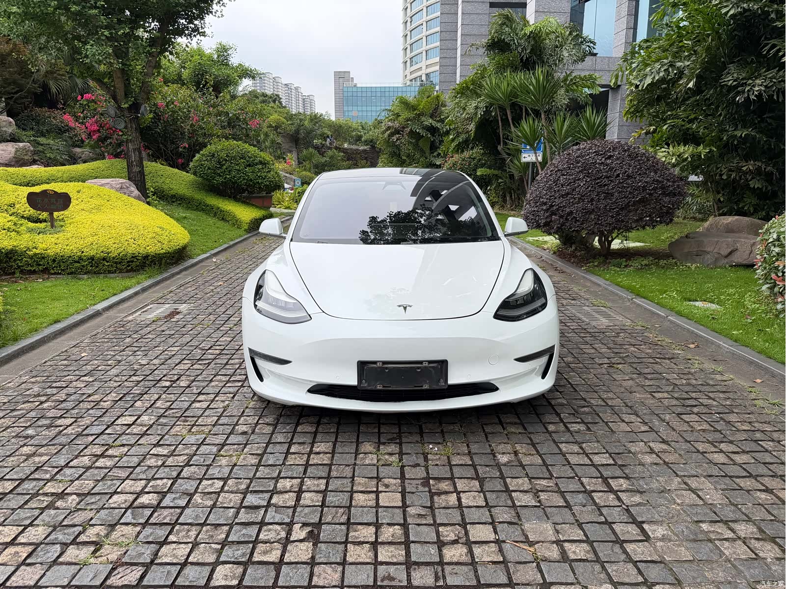 Tesla Model 3, 2019 2