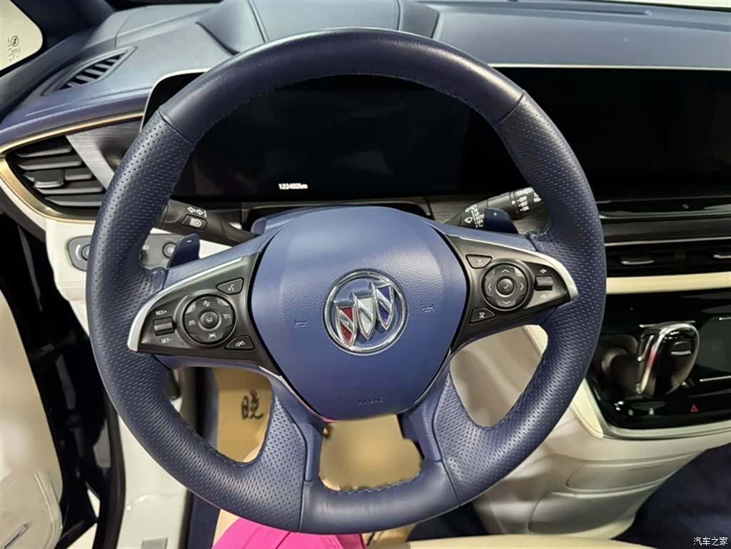 Buick GL8, 2020 14