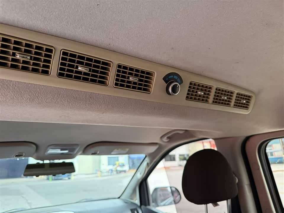 Forthing Lingzhi PLUS