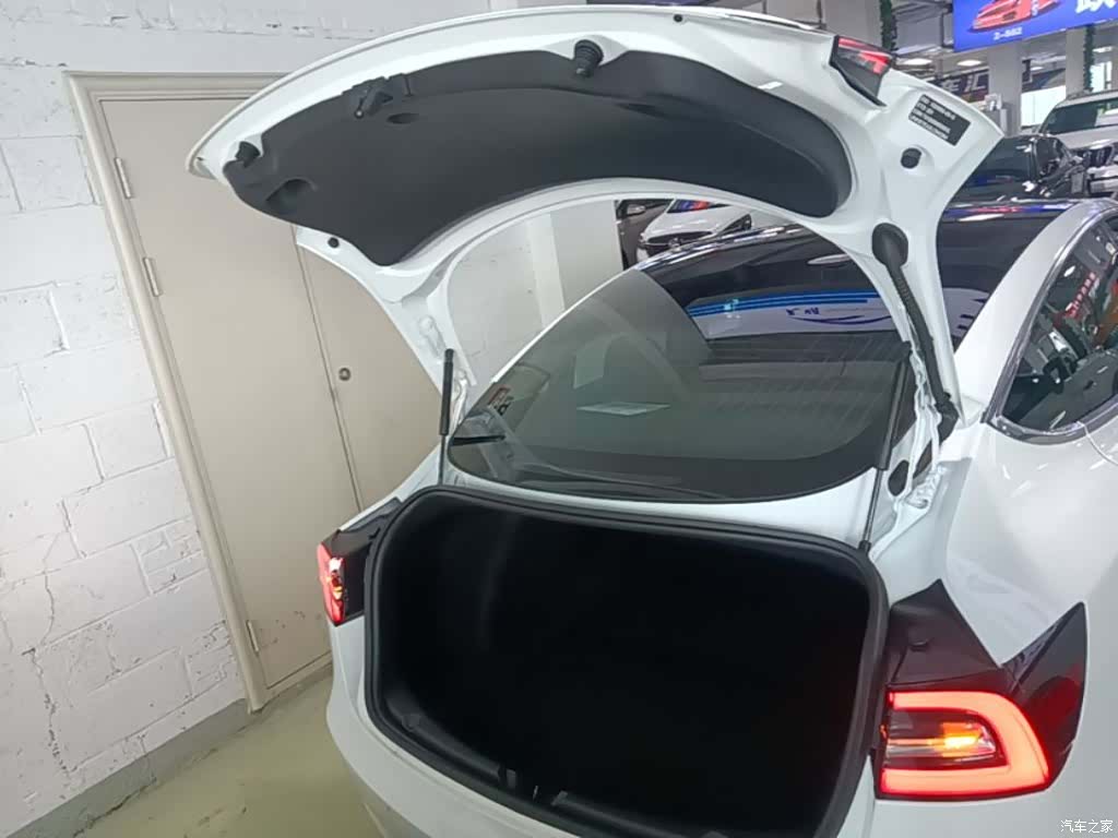 Tesla Model 3, 2020 19