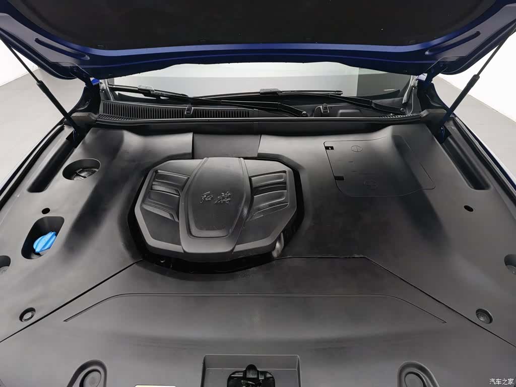 Hongqi HS5, 2020 6