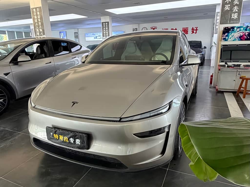 Tesla Model Y L