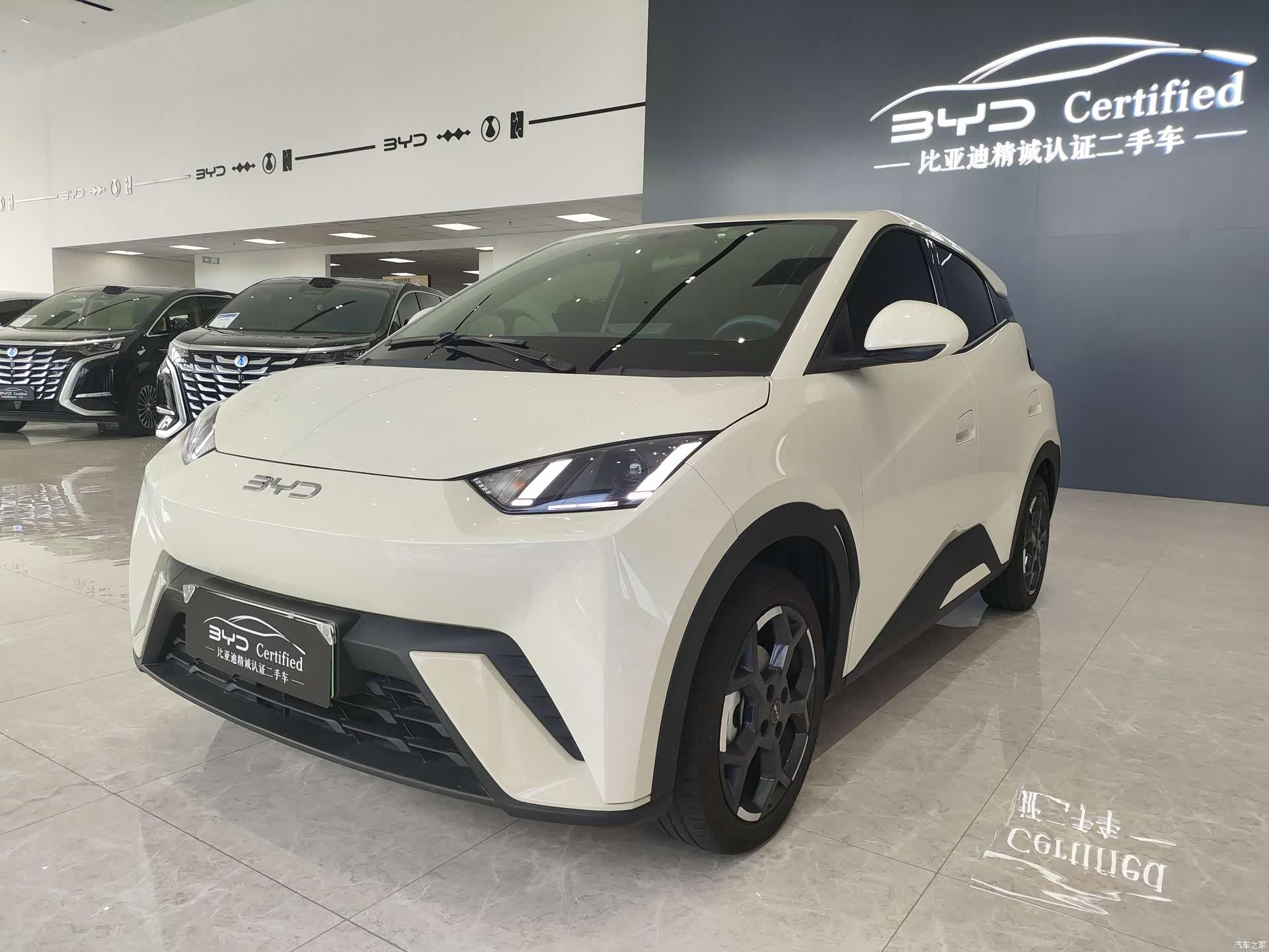 BYD Seagull, 2024 1