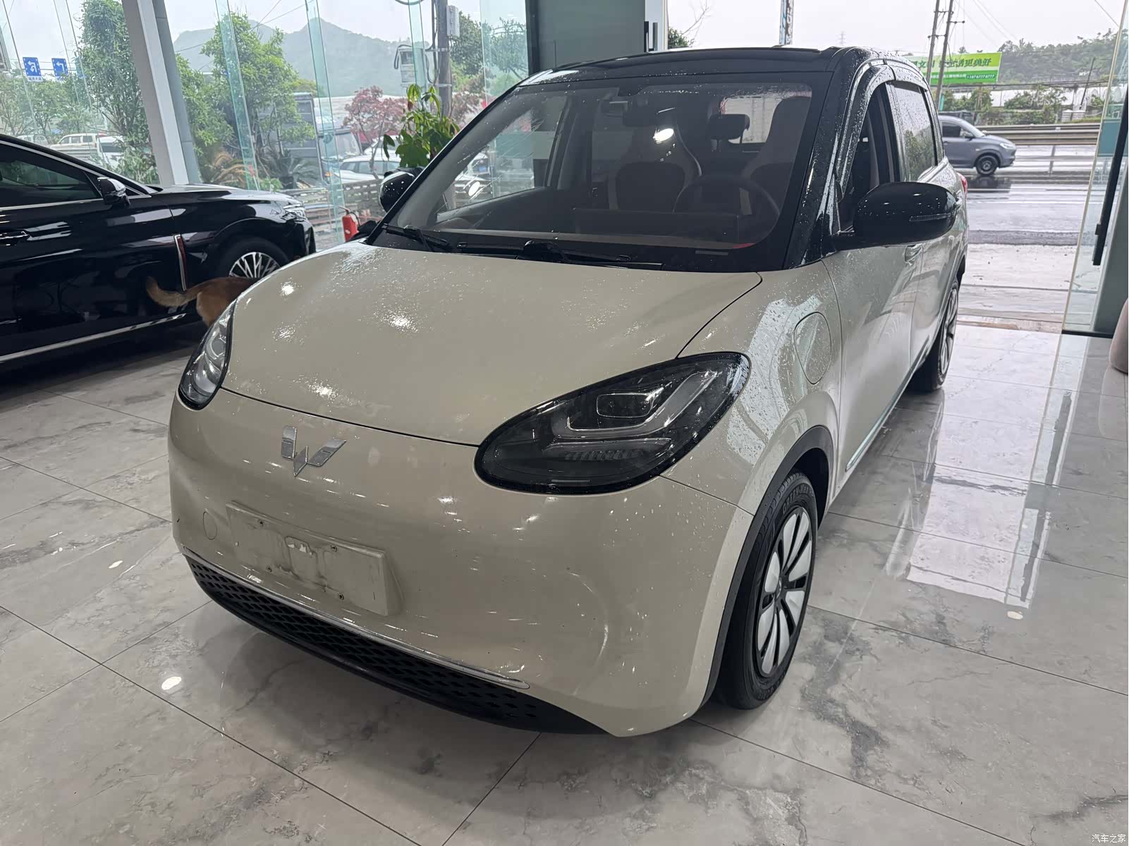 Wuling Bingo, 2024 1