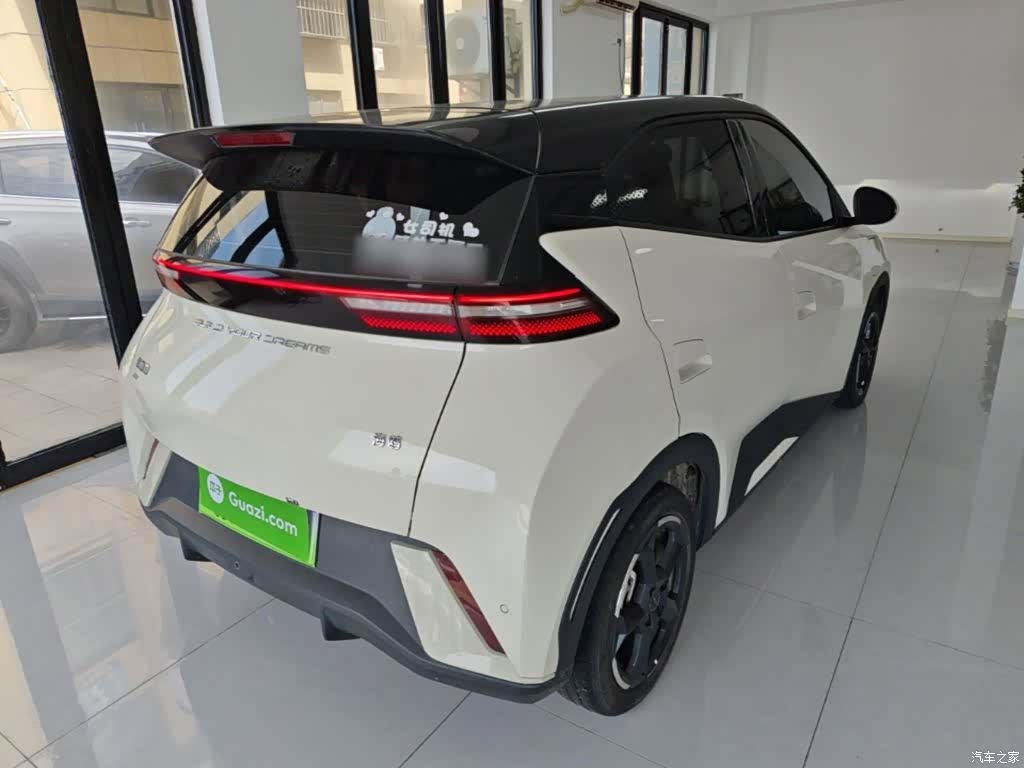 BYD Seagull, 2024 7