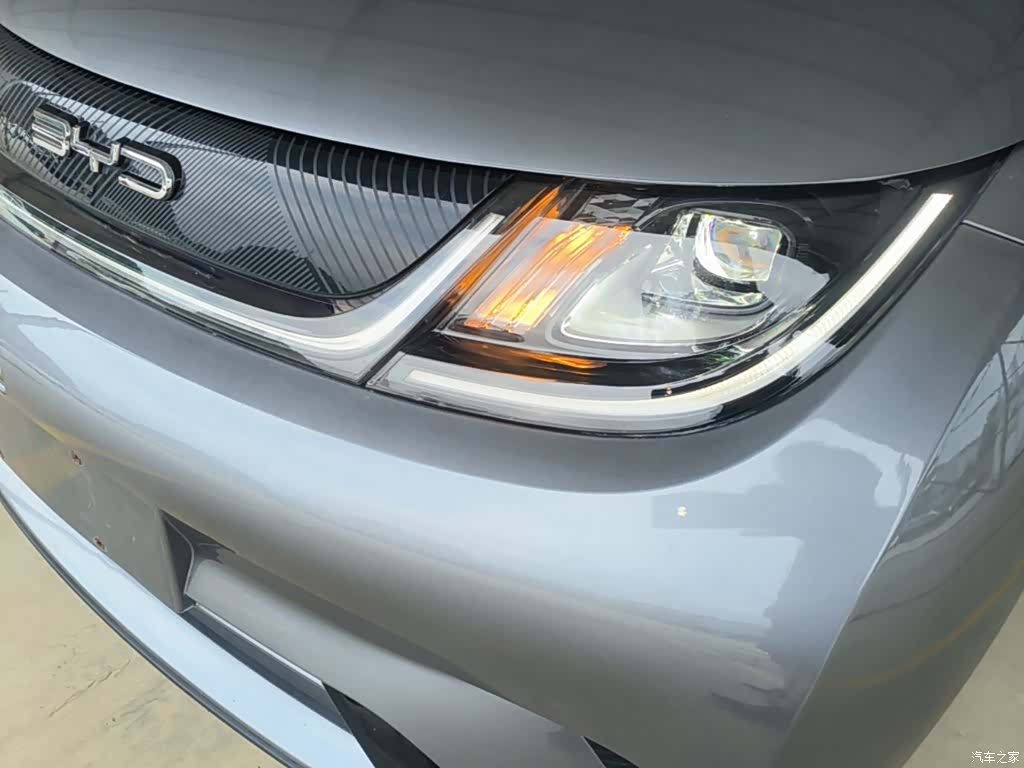 BYD Dolphin, 2023 24
