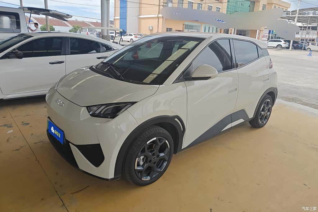 BYD Seagull, 2025 1