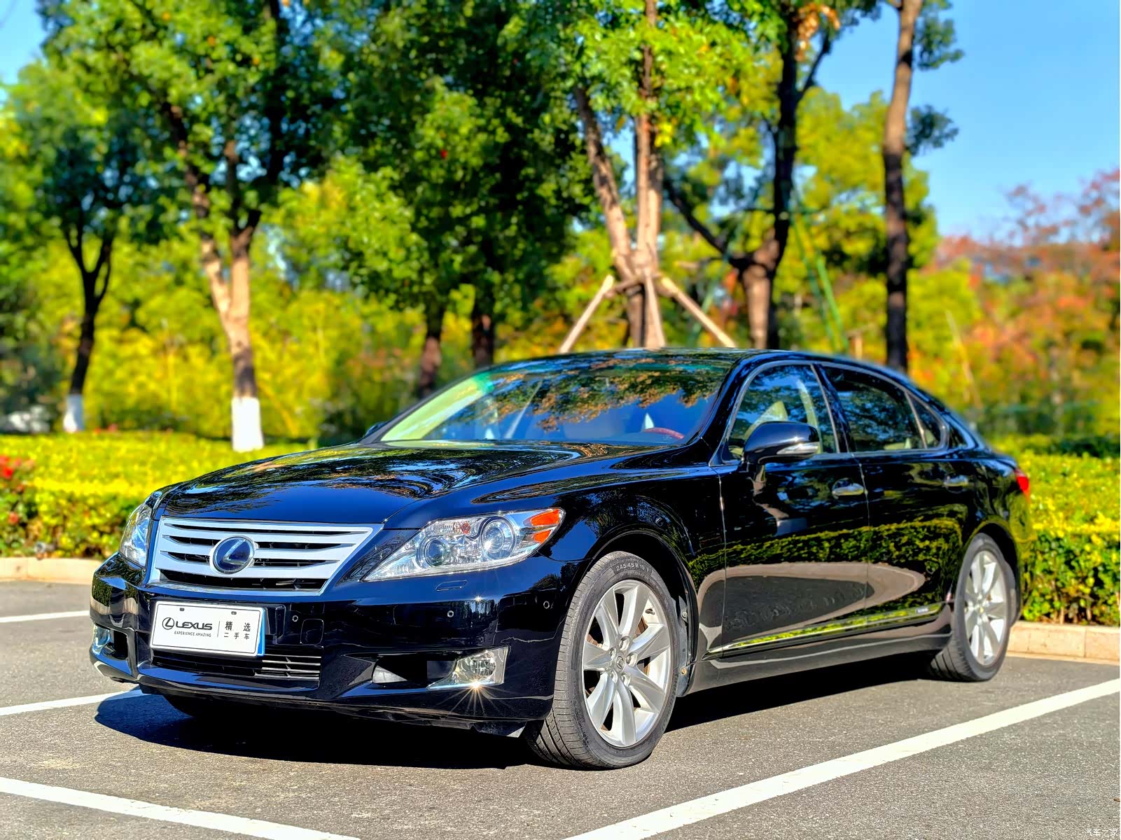Lexus LS