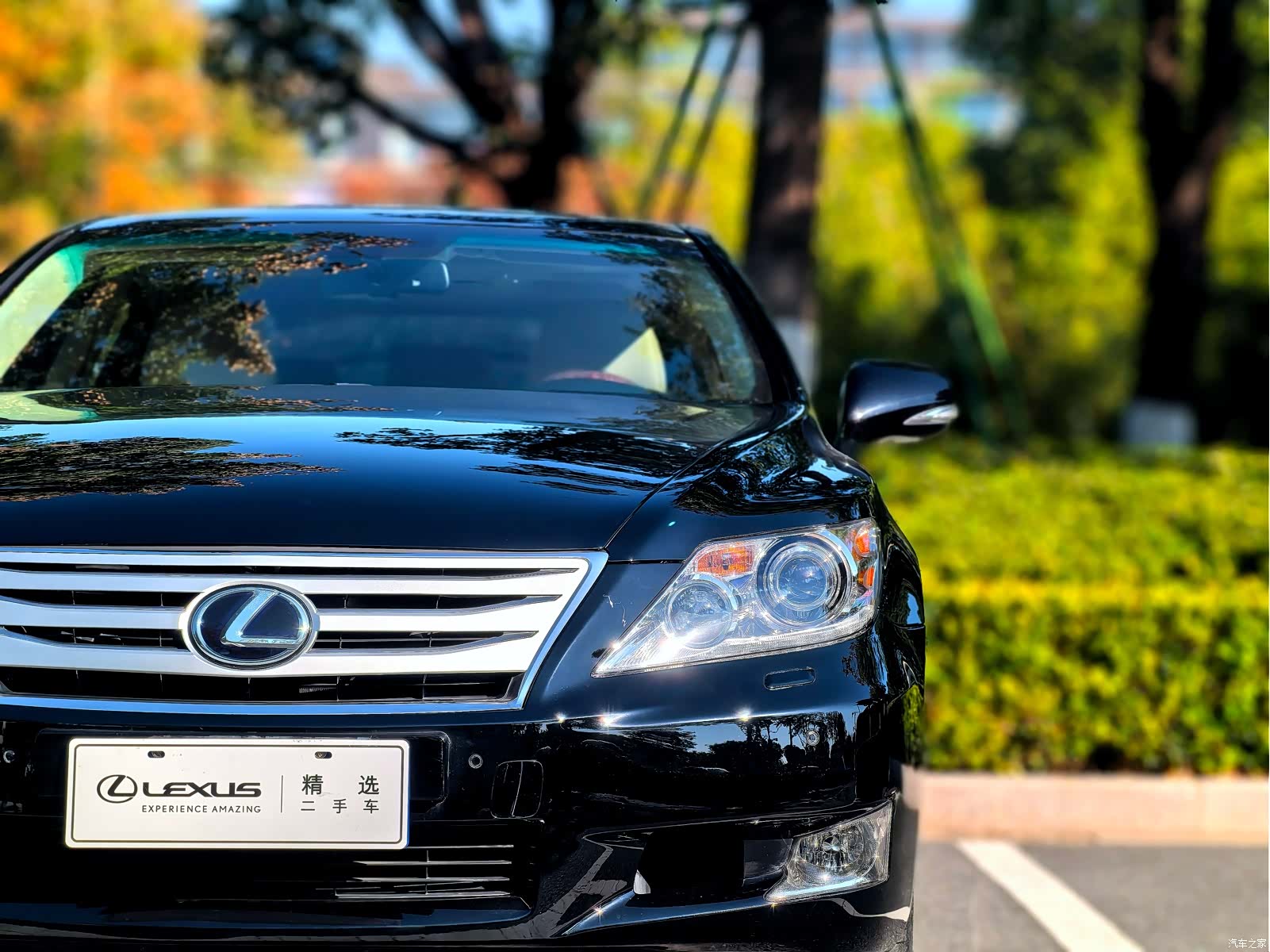 Lexus LS, 2011 3