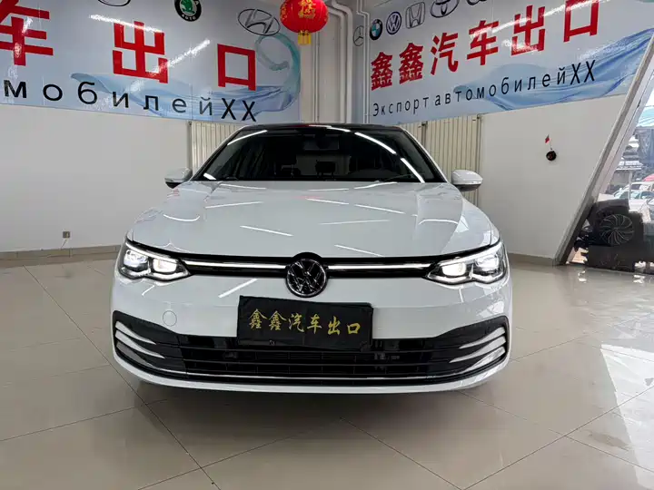 Volkswagen Golf 高尔夫 2021款 280TSI DSG Pro: миниатюра 2