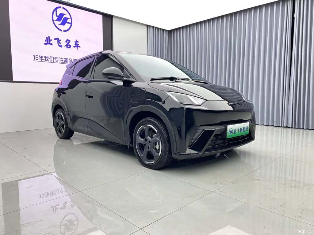 BYD Seagull, 2024 3