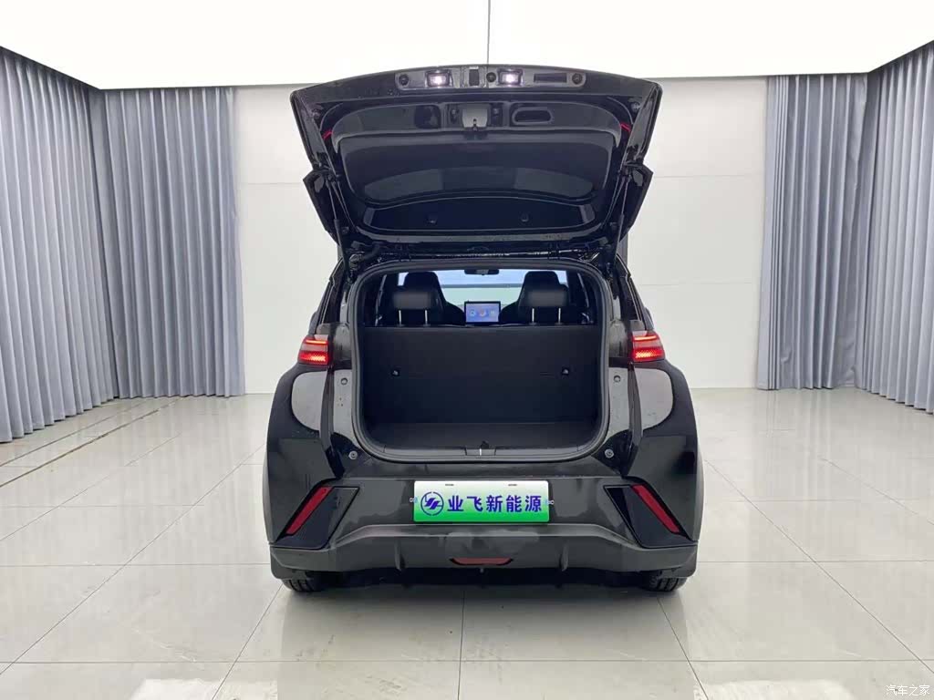 BYD Seagull, 2024 19