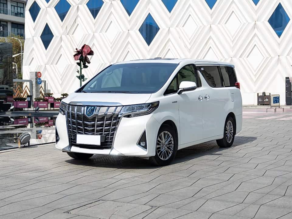 Toyota Elfa
