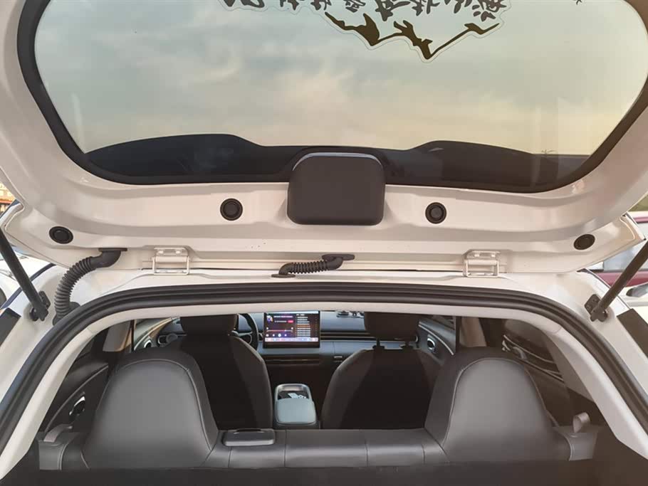 Dongfeng Nammi Nano 01