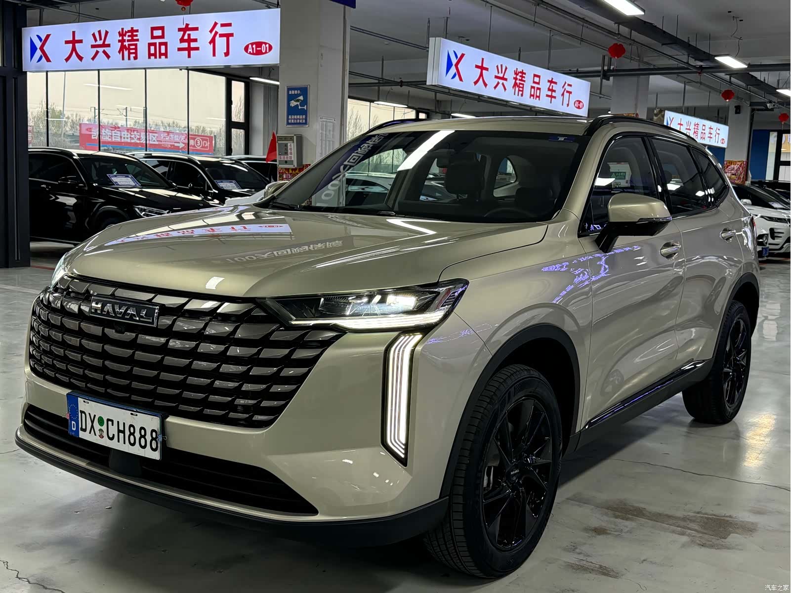 Haval H6, 2024 1