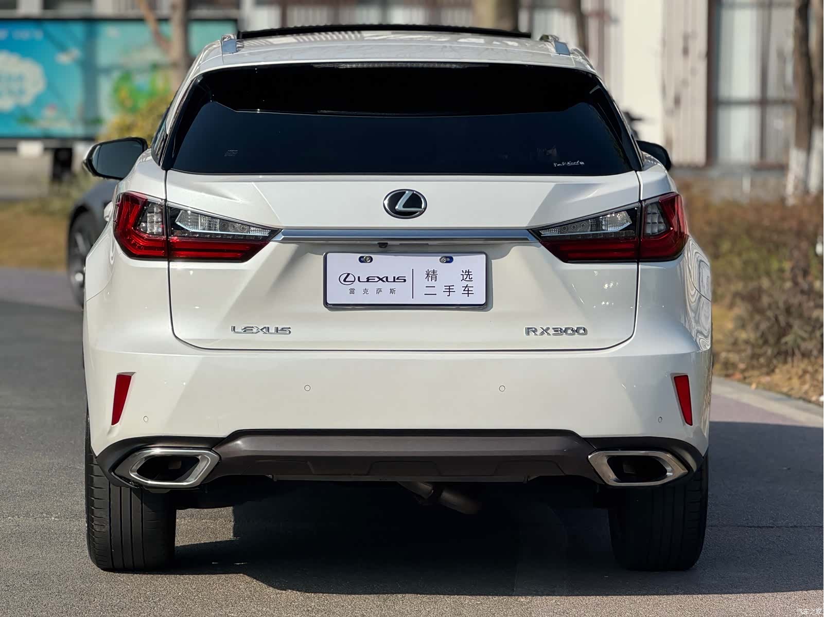 Lexus RX, 2018 14