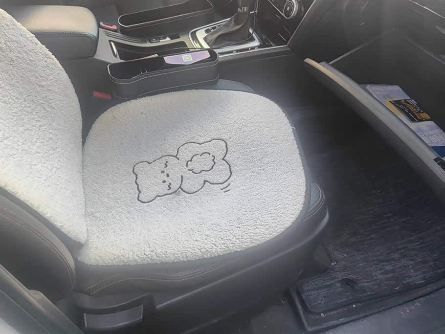 Leopaard Cheetah CS10