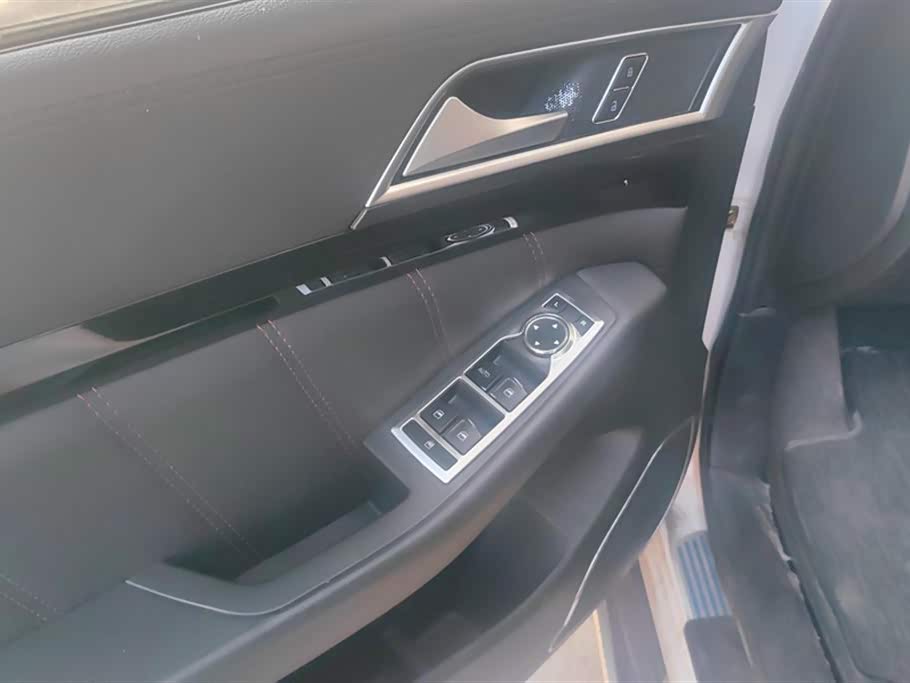 Leopaard Cheetah CS10