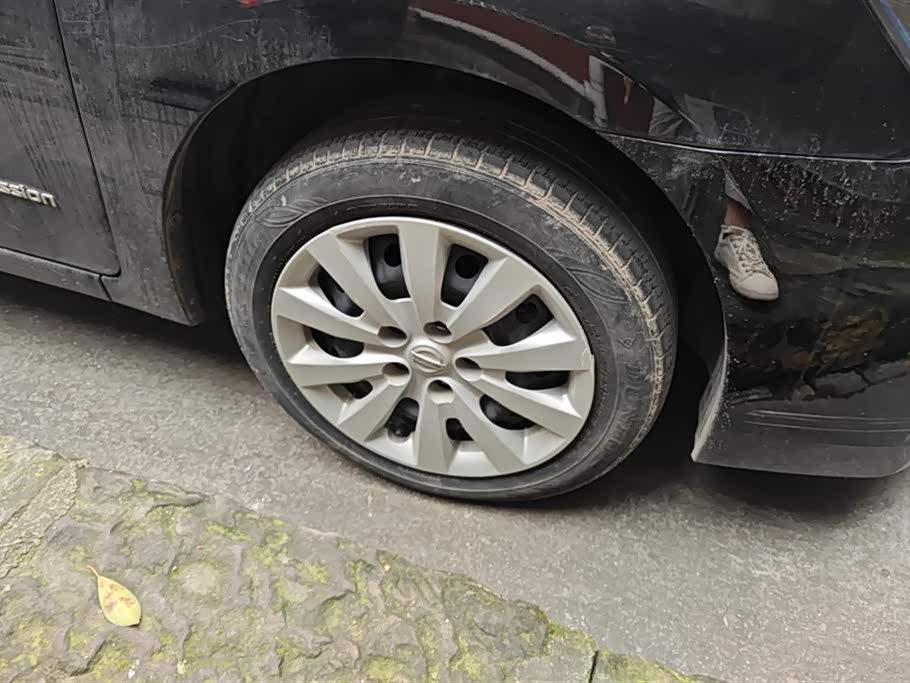 Nissan Sylphy Pure Electric