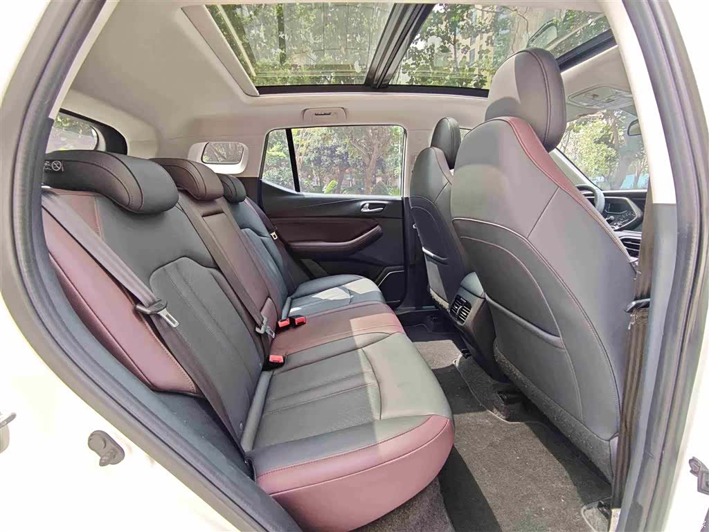 GAC GS4, 2020 8
