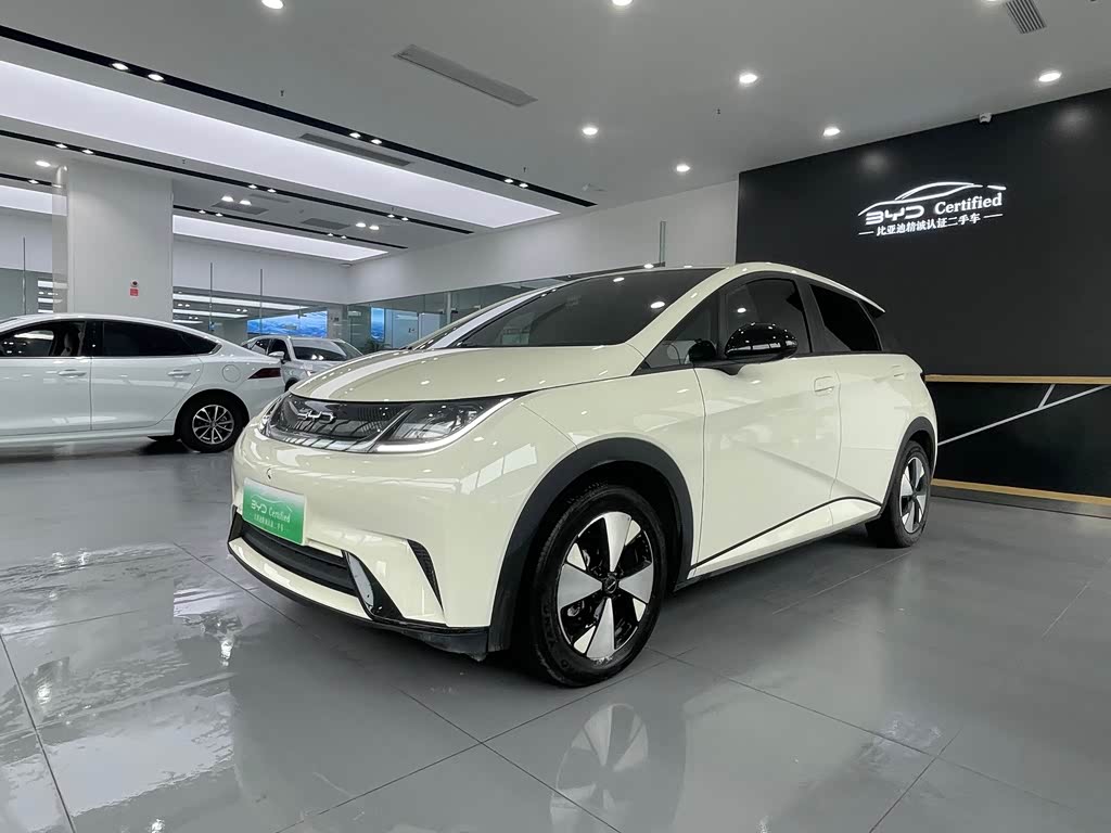 BYD Dolphin 2023 420km Freedom