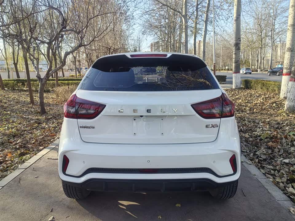 Geometry EX3 Kung Fu Cow