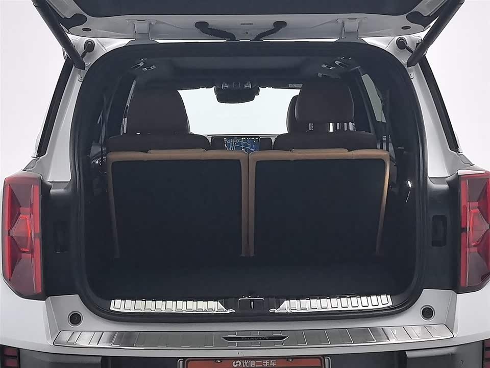 Trumpchi Trumpchi ES9