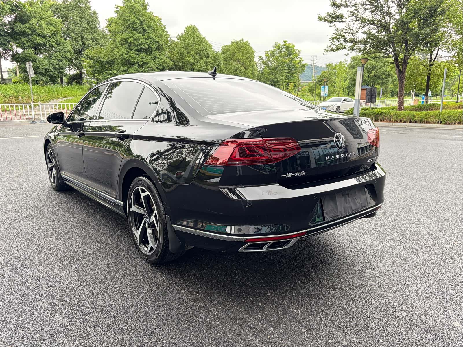 Volkswagen Magotan, 2024 6