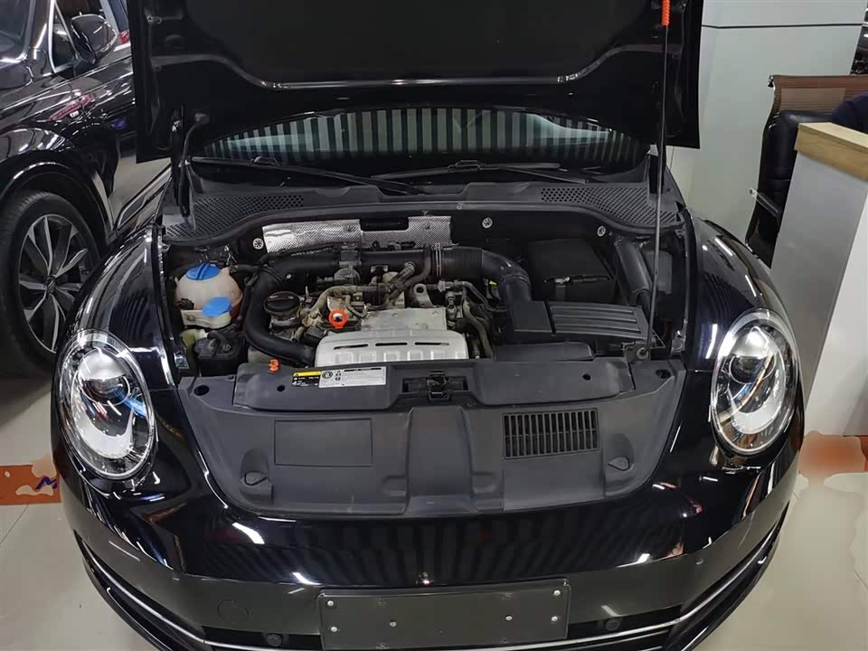 Volkswagen Beetle