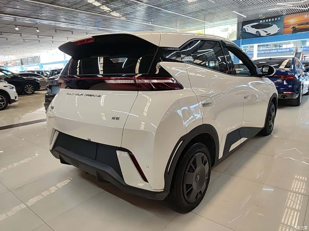BYD Seagull, 2024 7