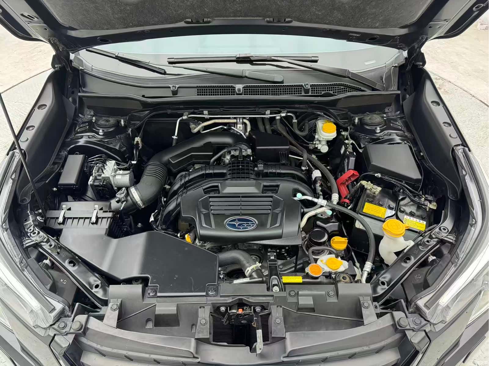 Subaru Forester, 2022 17