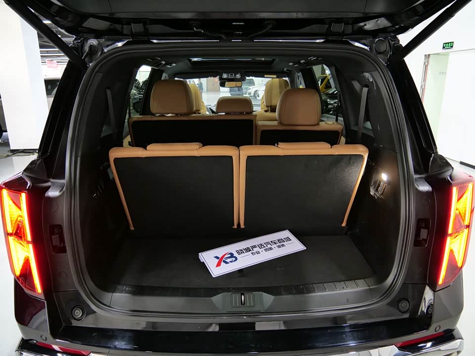 Trumpchi Trumpchi ES9