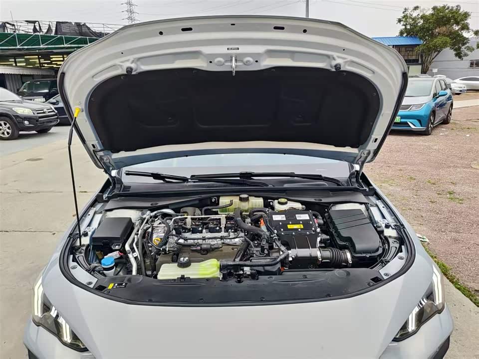 Trumpchi Shadow Leopard