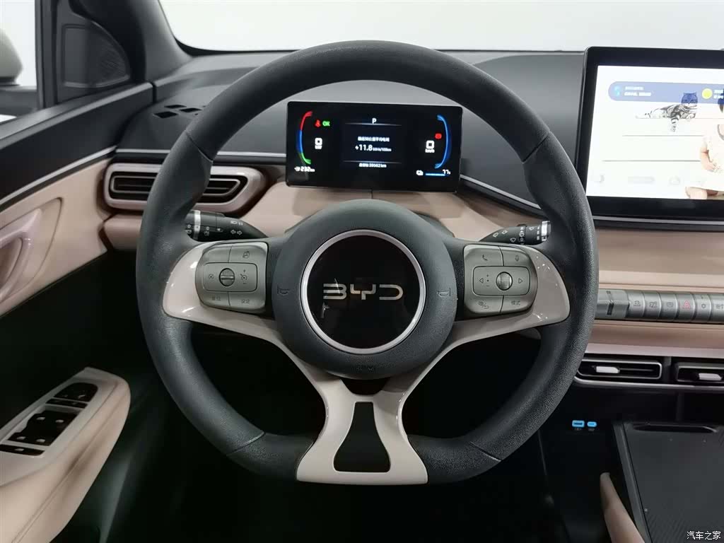 BYD Seagull, 2024 11