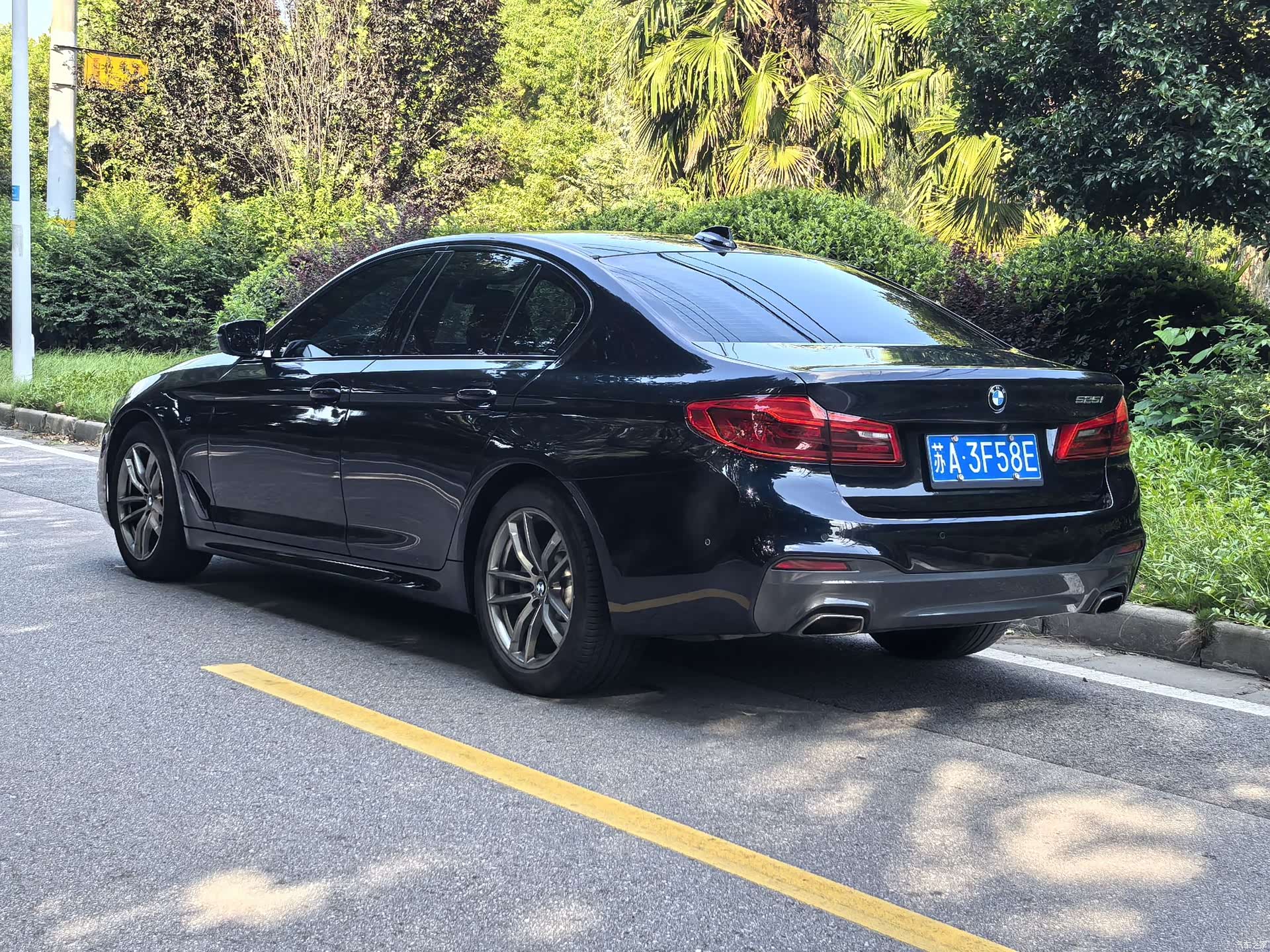 BMW 5 Series, 2019 все фото