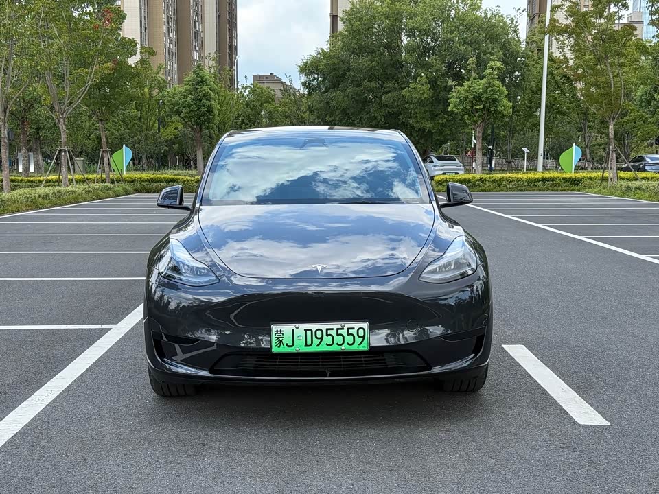 Tesla Model Y Tesla Model Y