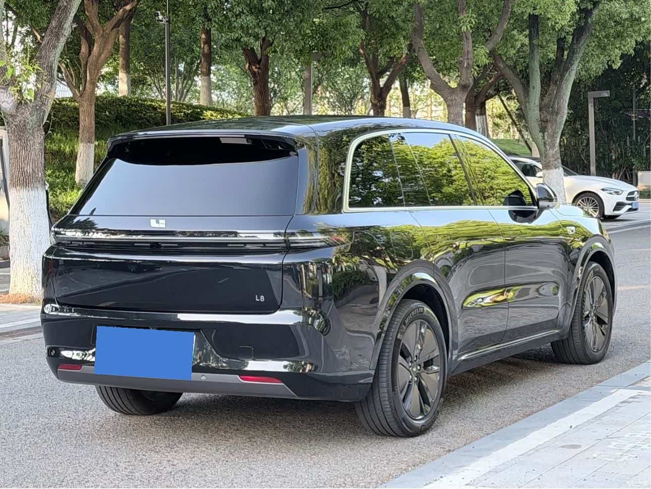 Li Auto L8, 2024 19