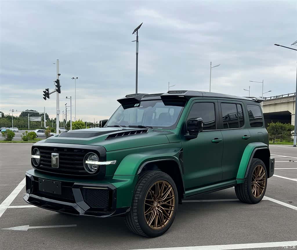 Tank 300