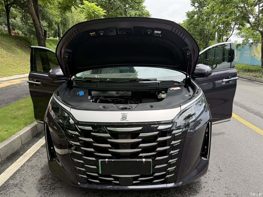 BYD Xia, 2025 13