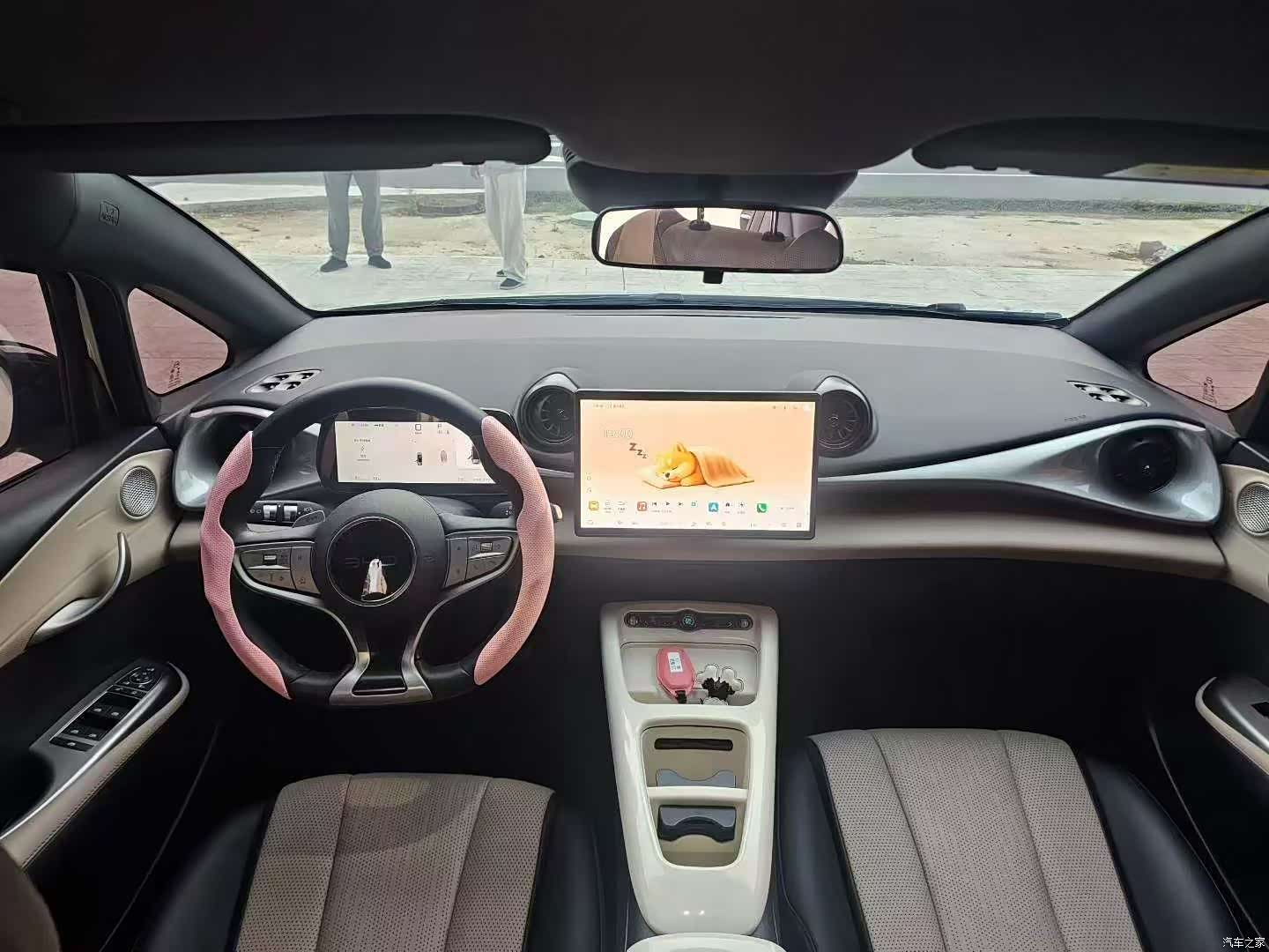 BYD Dolphin, 2025 6