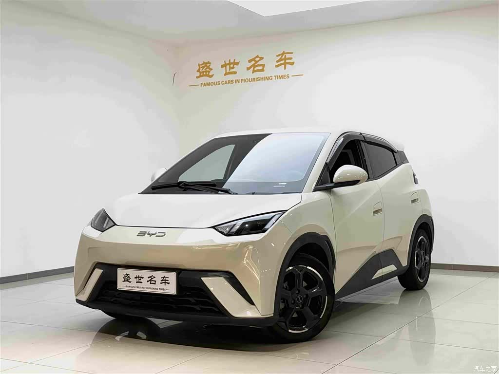 BYD Seagull, 2024 1