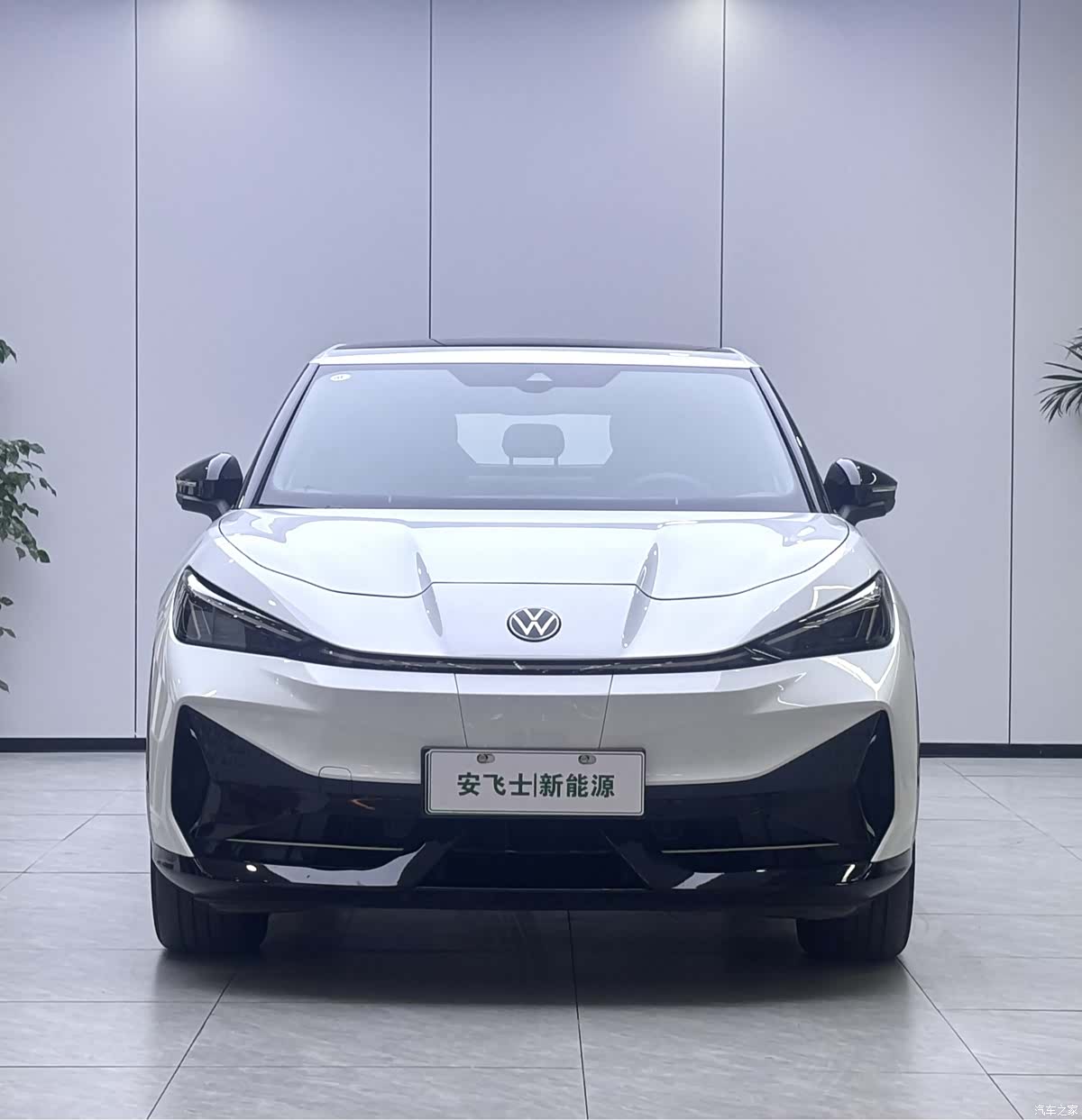Volkswagen 06, 2025 2