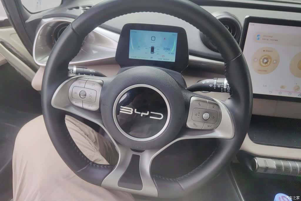 BYD Dolphin, 2023 15