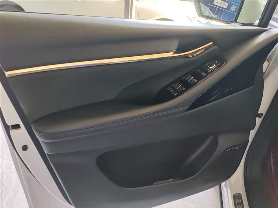 Trumpchi Trumpchi E9 Trumpchi Trumpchi E9