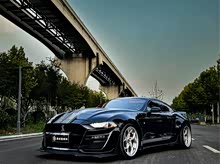 SHELBY GTE 2019�� 2.3T �����